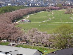 2017年(平成29年)GW 東北三大桜を愛でる旅3日間①盛岡(北上展勝地 桜並木 遊覧船) 