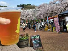 2016年4月の御殿場　花より御殿場高原ビール！飲み放題の夕食リベンジの宿、翌日は山梨県の「忍野八海」まで足を延ばし、富士霊園の桜並木も見てきました