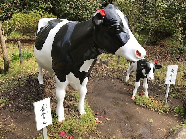 会社が休めっていうので ちょっと牛に引かれて善光寺に行ってきます 長野市 長野県 の旅行記 ブログ By ミーヌさん フォートラベル
