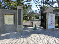 小石川後楽園で梅(2017年2月)