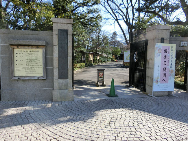 後楽園の小石川植物園で梅の散策をしました。