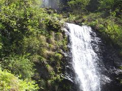 お花の山・横山岳