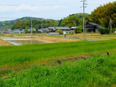 今年も信楽の里に田植えの季節がきて、陶器市が始まりました