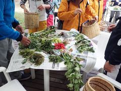 野尻湖で山菜採り