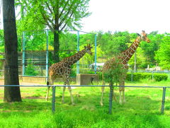 Saitama Kodomo Zoological Gardens +**...