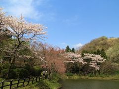最明寺史跡公園～神奈川の桃源郷の様
