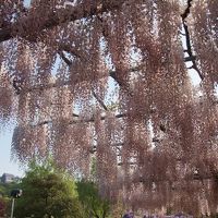 47都道府県全観光締括り！北関東の旅　前半