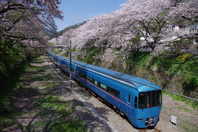 今年は桜の開花が例年になく遅く、また週末も雨模様が<br />多く中々、お花見に行けるチャンスがなく今年は諦めて<br />いました。小田原城の桜は散り始めではありましたが、<br />何とかまだ頑張ってくれていそうとの事でしたので<br />久しぶりに山の中の桜の駅である御殿場線の山北駅と<br />小田原城へと行って来ました。<br /><br />