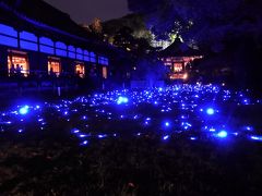 ＧＷ　五月晴れの京都へ②　祇園・東山編