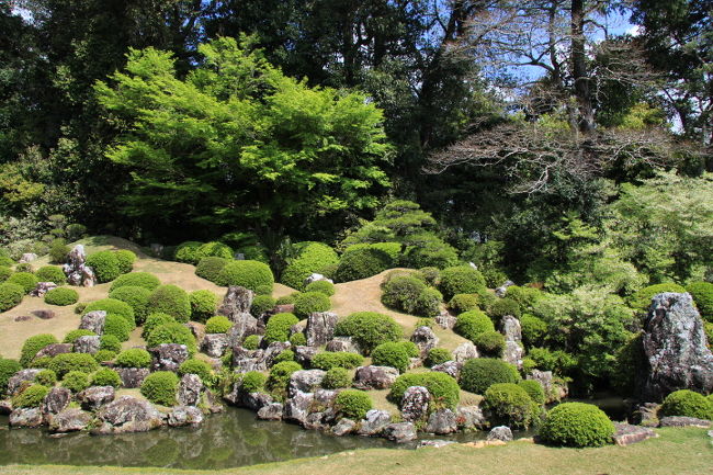 名古屋で午後所用があったので、その前にＮＨＫ大河ドラマ「おんな城主直虎」の舞台である井伊谷を散策しました。<br />表紙は、龍潭寺庭園