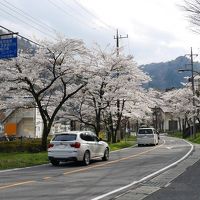 【栃木・塩原】　春のフィナーレを塩原で満喫