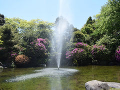 自転車でGO！ 2017.04.28 久し振りの遠出 =2.復路・柿田川公園経由自宅へ=