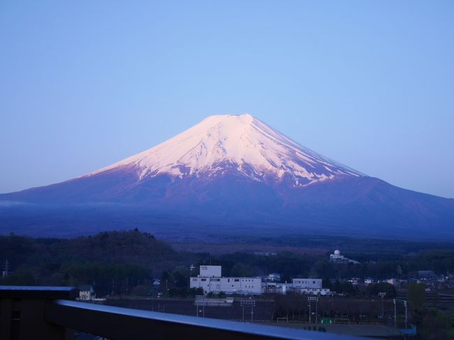 　一度泊まってみたかった、噂の高リピート率「鐘山苑」<br />以前申し込んでみたものの、満室御礼で×。　今回再びトライしました。<br />新緑が目に眩しい５月、どんな富士が見れるのか・・・