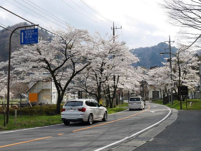 東京では完全に散ってしまった桜も栃木北部ではまだかろうじて見られる４月下旬に<br />「塩原温泉郷」へ。<br /><br />川岸露天風呂も楽しんできました♪