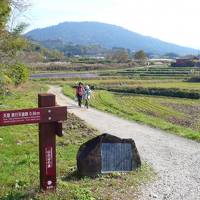 奈良を歩く -2016秋- 山の辺の道　天理→桜井＜約16キロ＞