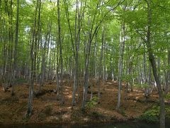 松之山温泉～薬湯・山菜・カレーの旅