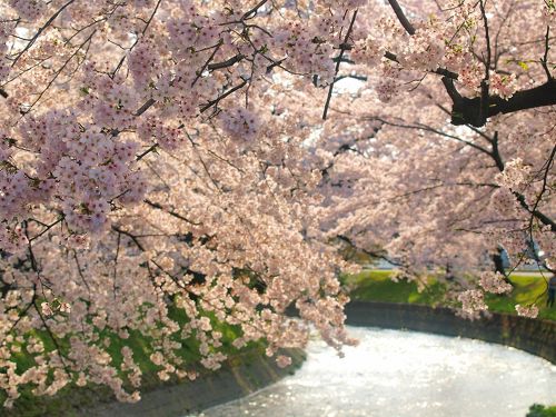 Amazon.co.jp: 李賀詩選 (岩波文庫 赤 6-3) : 李 賀, 黒川 洋一: 本