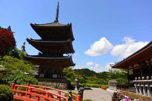 ２０１７年５月　西国三十三カ所巡り【９】～第６番『南法華寺（壷阪寺）』～「トラットリア　レノン」でピザランチ～♪