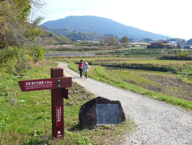 奈良歩き４日目はいよいよクライマックス！今日は山の辺の道で最もメジャーな天理～桜井間、約16キロ。そして、今日は歩くだけじゃなくて、桜井の手前にある大神神社へお参りしなくては！そして、できたら三輪山にも参詣したいー。<br /><br />実は9月末くらいから仕事で問題を抱えてしまって、でも自分じゃどうしようもなくて、ため息つきながら通勤する毎日。そんなある時、旅番組に大神（おおみわ）神社が。「ああ、11月に行くところだなあ」と思いながらぼやーっと見ていたのだけど、お参りしている方の大神神社に対する真摯な思いが伝わってくるうちに私も心惹かれて、思わず「今抱えている問題が解決しますように」とお願いしたのでした。いやー、仕事で神頼みするなんて、初めてだよぉー。<br />その後、問題はなんとか解決を迎えることができてやっと日常が戻ってきた。これは、あの時大神神社にお願いしたおかげかもしれない！ということで、今回の旅の終わりにぜひお礼を伝えたいと思ったのでした。<br /><br />ということで、奈良歩き最終日、今日も歩きます！<br /><br />　11/23 札幌→奈良（奈良泊）<br />　11/24 奈良→飛鳥周辺→奈良（奈良泊）<br />　11/25 奈良→天理（天理泊）<br />★11/26 天理→桜井→橿原、今井町（橿原泊）<br />★11/27 橿原→札幌