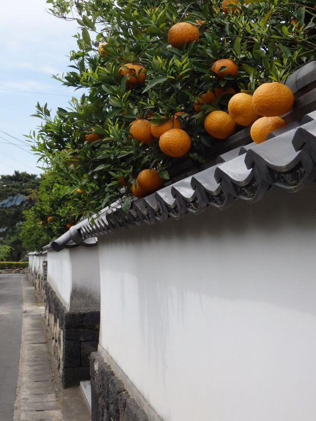 2017年のGW連休は本州最西端の山口県へ。<br />山口をじっくり観光するのは高校の修学旅行以来。そんな訳で元乃隅稲成神社など新しい見所と定番スポットを巡りつつ萩ではえいっと奮発して格式高い和風旅館に泊まる旅を計画し、いざ出発。<br /><br />自然・歴史・食ともに恵まれた「おもしろき国」山口を堪能してきました。<br /><br />その１：下関の街歩き＆海の幸を味わう編<br />http://4travel.jp/travelogue/11238522<br /><br />【この旅行記】その２：幕末の舞台となった萩を散策＆迎賓館「常茂恵」に泊まる編<br /><br />その３：由緒ある寺社を参拝＆春らしい景色を満喫する編<br />http://4travel.jp/travelogue/11238528