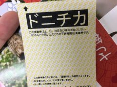 北海道はでっかいどー！弾丸強行ひとり旅　北海にゃんを求めて？！その１