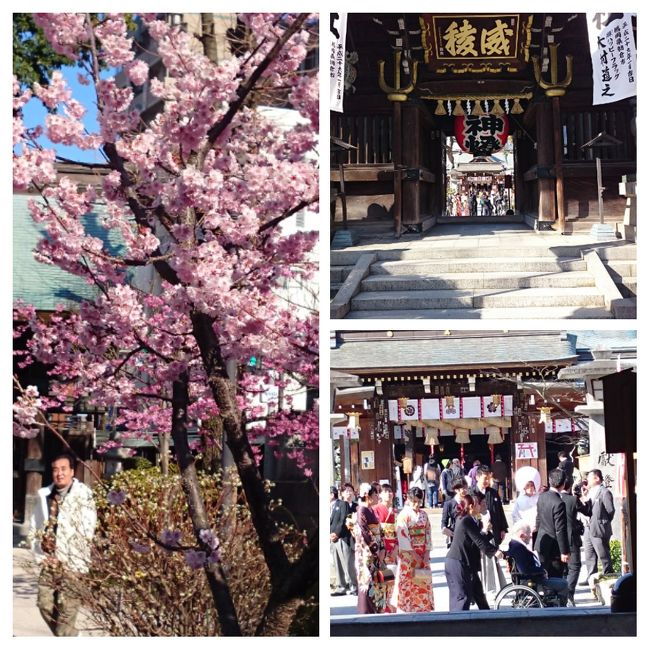 博多・北九州の旅。<br /><br />朝、祇園のホテルから５分ほどの櫛田神社へ。<br />博多山笠のお膝元です。<br />大きな山笠の展示、こじんまりとして清潔な境内。<br />朝からたくさんの方が。<br />そして婚礼も。<br />なんだかほっこりしたところで、在住の友人がクルマで迎えに来てくれました。<br /><br />大宰府天満宮へ。<br />こちらは週末とあって大混雑。<br />駐車場から境内までの参道はすごい人出。<br />名物・梅が枝餅をハフハフ食べながら歩きました。<br />そこらじゅうの知り合いすべての学業祈願をして。<br />飛び梅も健在。こちらもほっこりとしたお参りでした。