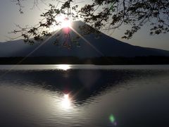 女一人旅、ドライブ旅行記 (3)、田貫湖のダブル・ダイヤモンド富士と、芝桜まつり、富士五湖の富士山の雄姿、堪能しまし