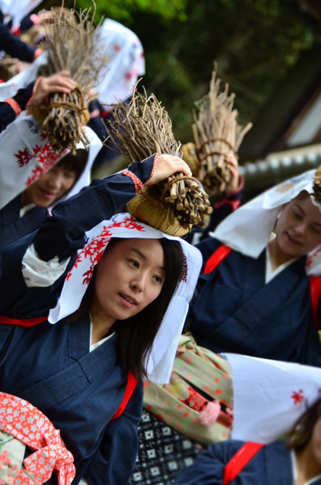 春の大原女まつり<br />その前に、新緑の春景色（今は石楠花 ）・京都大原三千院　　<br />　　　　　　http://4travel.jp/travelogue/11240268<br /><br />大原女まつりは、「平家物語」ゆかりの地・ 大原女時代行列<br />今年で第37回を数えます。<br />平成29年（2017）の開催日は、4月29日から5月14日まで。<br /><br />第36回「平家物語」ゆかりの地・大原女まつり（ 大原女時代行列 ）<br />　　　　　　　　　　　　http://4travel.jp/travelogue/11004551<br /><br />大原女まつりが大原女時代行列が毎年開催。<br />年によって開催日が違うので、<br />毎年5月で安心してたら4月29日<br />さらに、今回は雨で途中で中止になりました・<br /><br />田園風景が広がってる寂光院へ<br />「建礼門院庵居跡地の碑」を静かに立ち寄り<br />当時は建礼門院陵とはあまり関しなかったが、<br />大原の景色を度々眺め<br />三千院から旅の最後のこの場所で休憩して思う。<br /><br />人生の浮き沈みのはかなさと切なさ<br />その最後は穏やかな救いに静かな祈りのから<br />静かに息を引き取られる時に、<br />建礼門院の念仏の声がだんだんと弱まり、<br />西(極楽浄土)から<br />紫雲がたなびき薫香が庵室に充ち、<br />空から妙な心地いい音楽が聞えた。<br /><br />平家一門の栄耀栄華を象徴する<br />「平氏にあらずんば人にあらず」<br />「平家物語」の最終章「大原御幸」は、<br />壇ノ浦の合戦から１年ほどたって、<br />大原の寂光院で平家一族の菩提を弔う建礼門院徳子<br /><br />時代の野望と覇権争いの道具のように扱われ<br />翻弄された悲運のプリンセス、悲劇のヒロイン建礼門院徳子。<br /><br />「わたしは生きながら六道を見てしまいました」と。<br />地獄も極楽浄土もすべて体験したという。<br />寂光院は建礼門院の閑居の寺として知られ<br />大原の寂光院で平家一族の菩提を弔う建礼門院徳子<br />寂光院での静かで淋しい生活こそ、<br />本人にとっては心安らぐ<br />人間らしい暮らしというものであったかも。<br />そして、山里の寂光院に移って亡くなった。<br /><br />そこで着目したのが<br />大原女まつりのこの大原女の衣装は、<br />壇ノ浦の後徳子とともに大原にたどり着いた<br />侍女の服装に始まりらしい。<br />活動的でおしゃれな大原女姿は、<br />寂光院に穏棲された建礼門院に仕えた<br />阿波内侍が着ていた衣装が原型。<br /><br />阿波内侍少し撮りたいと思います。<br />先日、源氏物語絵巻行列・越前（福井）「式部とふじまつり」<br />大原女時代行列で阿波内侍として歩かれた、<br />その方、大阪の方に声をかけられて・大原女まつりを想い出す。<br /><br />大型連休で色々行った事と、大原女まつり中止・・・。<br />旅日記書くの忘れてましたので思い出してアップ。<br />また、同時に新緑の三千院と石楠花を後日アップします。<br /><br />********************************************************<br />大原女着付け代金：おひとり様 1,000円となり<br />若干、大原女の格好をして行列に参加する方が少なく<br />そして、例年より見物客が少なく感じました、<br />日時の変更、無料が有料で、年に春と秋に有るのでかな？<br /><br />開催日時 　2015年4月25日～5月10日<br />大原女時代行列　　4月29日　<br />大原女衣装着付　　10:00～16:00（着付終了/14:00）　<br />　　　　　　　　　　　※予約が必要、女性のみ（4歳以上）<br />開催場所 　京都市　大原一円<br />料金 　　　　　大原女衣装着付1000円<br />主催 　　　　　大原観光保勝会<br />お問い合わせ 　大原観光保勝会　075-744-2148<br />PCサイト　　　　http://kyoto-ohara-kankouhosyoukai.net/<br />携帯サイト　　　http://kyoto-ohara-kankouhosyoukai.net/mobile/<br />アクセス ＪＲ「京都駅」から地下鉄烏丸線「国際会館駅」<br />　　　　　　　　～京都バス「大原」下車、