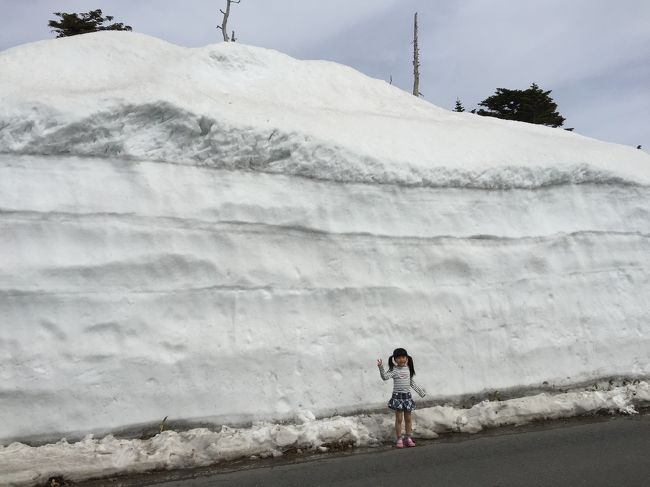 ゴールデンウィークの旅②です<br /><br />万座温泉の極上露天風呂を満喫した後は、志賀草津高原ルートを通り、雪の回廊と絶景のドライブを楽しみました。