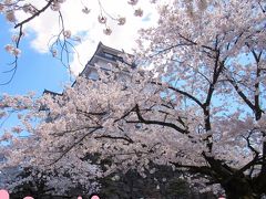 会津若松鶴ヶ城も桜が満開でした。花言葉「純潔、優れた美人」やっぱり桜には心惹かれます。