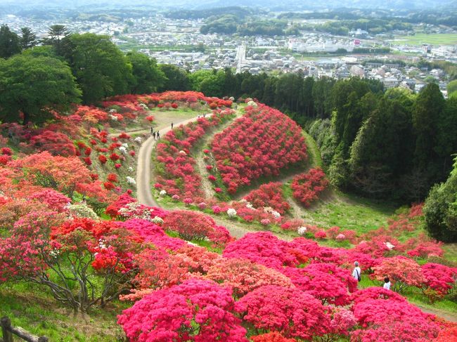 ＧＷ後半の初日は茨城のときわ路パスを使用してひたち海浜公園のネモフィラと笠間つつじまつりと日本100名城の水戸城を見てきました。旅行記は５つにわけました。<br />旅行記の４は笠間駅から笠間つつじまつりまでです。<br /><br />★散歩ルート<br />勝田駅→阿字ヶ浦駅→ひたち海浜公園（ネモフィラ、チューリップ）→阿字ヶ浦駅→水戸駅→水戸城観光（日本100名城）→笠間駅→笠間つつじまつり→笠間稲荷→笠間駅→勝田駅→ＳＡＺＡ ＣＯＦＦＥＥ→勝田駅→水戸駅