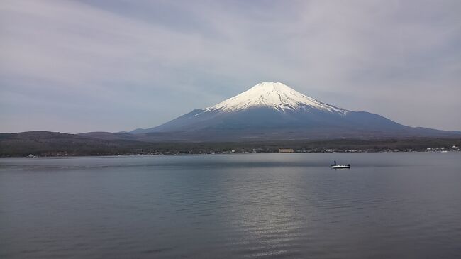 今年のGWは山中湖&忍野八海旅行。<br /><br />中国に勤務していた友人が日本勤務に復帰し、久々の3人国内旅行が実現。<br /><br />山中湖の奥に間近に見える富士山に、<br />忍野八海の神秘的なブルーの池に魅了されました。<br /><br />