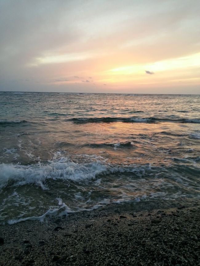 初の奄美大島。<br />２日目もあいにくの雨で観光もままならず部屋でのんびりしていたけど、午後になってようやく雨が上がりました。<br />同じ宿の人達とご近所の散策、夕焼け鑑賞に出かけ、その後は島唄が楽しめる店で奄美名物の黒糖焼酎を飲みながら、楽しく思い出深い夜を過ごしました。