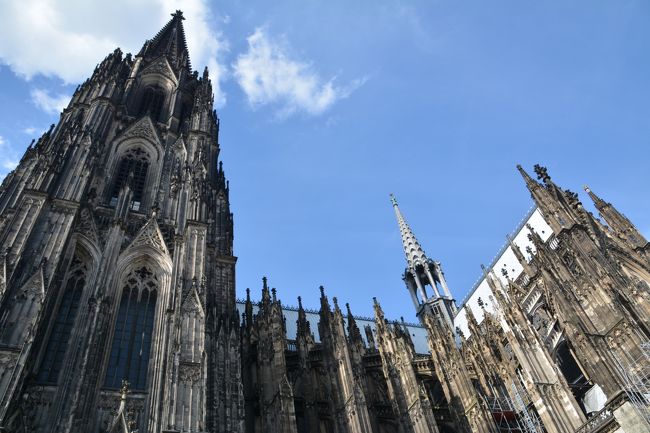 デュッセルドルフとケルン ルール地方の街 デュッセルドルフ ドイツ の旅行記 ブログ By しろくまクンクンさん フォートラベル デュッセルドルフとケルン ルール地方の街 デュッセルドルフ ドイツ の旅行記 ブログ By しろくまクンクンさん フォートラベル