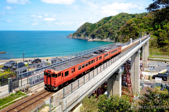 参加賞が豪華なマラソンにottoが参加しました。<br />高低差がすごいらしくいつも以上に疲れたようです^^;