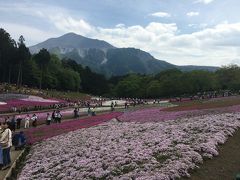 秩父芝桜と豚みそ丼ランチ♪秩父ぶらぶらドライブ