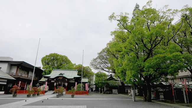 翌日0720に起きて堺を散歩，大仙公園方面と南宗寺方面，堺東から北方向と散歩したことがあるので，今回は宿院付近を散歩した．これで堺の観光地はほぼ廻った．<br />昨日あまり飲んでいないので姫路の時と違って，朝散歩できた．開口神社，与謝野晶子生家跡，千利休屋敷跡をみる．開口神社付近から堺は発展してきたようだ．たくさんのお社がある由緒ある神社だった．本当に堺には由緒ある寺社が多い．与謝野晶子生家跡には碑以外は何もない．千利休の屋敷跡井戸周辺が残されている．宿院からバスで堺東駅前へ．0821ホテルに帰り朝食．タクシーで大阪空港に行く前に堺市役所21階展望ロビーに．少しもやがかかっていたので十分な展望ではなかったが，大仙陵やあべのハルカスが視認で来た．<br />NH22便1100発で帰京，午後から仕事<br />今回の出張は堺の知人に呼ばれたものだが，旧交を温めたりスタッフの方々とも話したり，よい旅行だった．