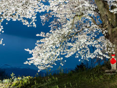 2017-福島の桜めぐり