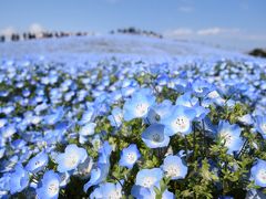 世界の絶景？話題の「青の世界」を堪能してきました