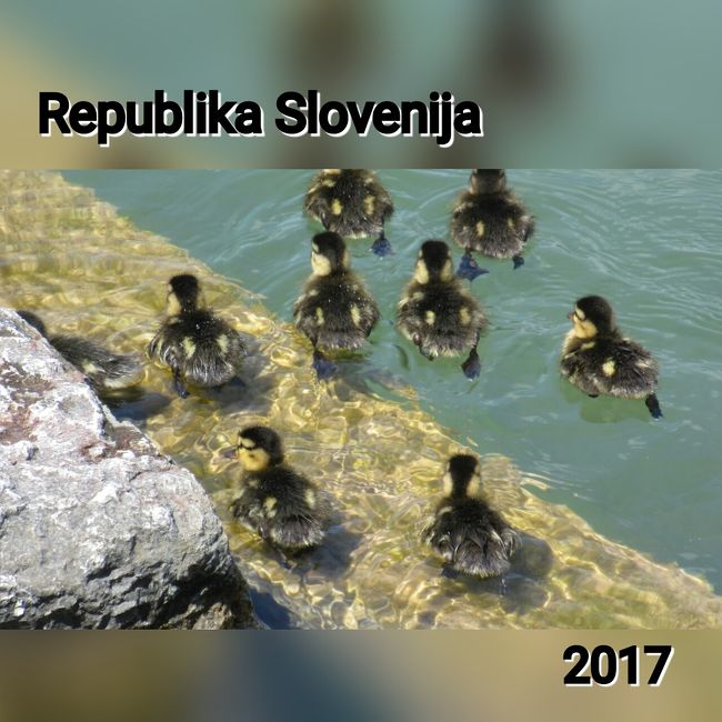 いつもは暦通りのＧＷですが<br />今年は珍しく9連休。<br />どこかに出掛けない手はありません。<br /><br />前から行ってみたかった、クロアチアへ<br />行くことにしました。<br />スロヴェニア、ボスニアにも少し立ち寄る<br />ツアーで、お天気にも恵まれた最高の休日と<br />なりました ♪<br /><br />では、実際の第一日目スロヴェニア編から