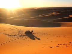 モロッコ サハラ砂漠/フェズ