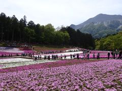 羊山公園の芝桜と寶登山神社