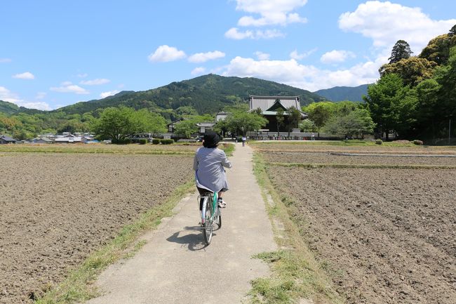 久しぶりに奈良県明日香村にサイクリングに行ってきました。<br />ここを訪れるのは１０年ぶり以上かもしれません。<br /><br />そう言えば、去年は美保基地航空祭以来更新しておりませんでしたが、<br />劇団四季のミュージカルに行き過ぎて（ライオンキング・キャッツ・美女と野獣）日帰りの旅行に行けませんでした。<br /><br />そして、久々の日帰り旅行、目指すは飛鳥駅。<br />この周辺のレンタサイクルにて車を止めてから、各古墳群をまわるというプランで行きます。<br />ただし、寺や有料施設については、前回来た時に網羅しているので<br />今回は外観のみとしました。<br /><br />前回も訪れたのはＧＷ。<br />でも、我々夫婦の住んでいる地域からはあまり渋滞に合わないの記憶があります。<br />中国道（吹田ＪＣ）⇒近畿道（美原ＪＣ）⇒南阪奈道と乗り継いでいきますが、今回も往路の南阪奈道で５ｋｍの渋滞があったのみで、復路は一切の渋滞は無しでした。<br />