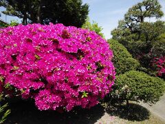 旧西尾家住宅（吹田文化創造交流館）に行った