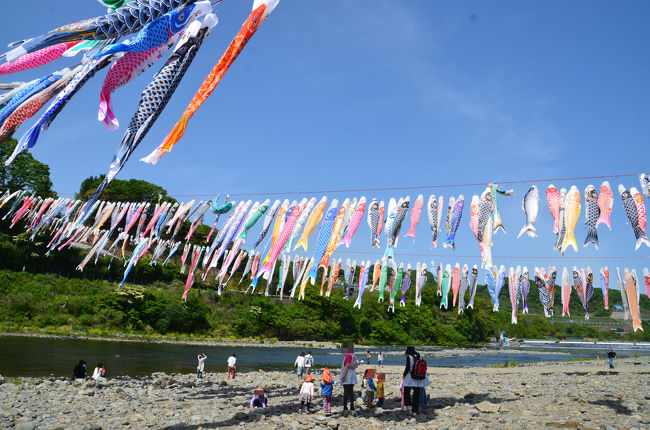 “泳げ鯉のぼり相模川”昭和63年から開催されているそうで私はここに来るのは何回目だろう。4年ぶり4回目の訪問でした。<br />5本のワイヤーを相模川に渡して約1,200匹の鯉のぼりが泳ぐ光景は凄いです。<br /><br />※位置情報一部不明確な場所があります。予めご了承下さい。<br /><br />=今回のドライブデータ=<br />走行距離　約200Km<br />所要時間　約9時間<br />渋　　滞　多少ありましたが、GW中と言う事を考えればこんなものかな。楽だったな。と、言うのが感想です。<br /><br />過去の“泳げ鯉のぼり相模川”を見に来たブログです。()書きはタイトルに年月日が入っていないので書き足しました。<br /><br />・相模原の“泳げ鯉のぼり相模川”　２０１３．０４．３０<br />http://4travel.jp/travelogue/10770642<br /><br />・神奈川県をウロウロ…=①泳げ鯉のぼり相模川=(2012.04.29)<br />http://4travel.jp/travelogue/10665748<br /><br />・泳げ鯉のぼり相模川(2009.04.28)<br />http://4travel.jp/travelogue/10331581<br /><br />・第１９回泳げ鯉のぼり相模川(2006.04.29)<br />http://4travel.jp/travelogue/10066576<br /><br />★いい～さがみはら(相模原市観光協会)のHPです。<br />http://www.e-sagamihara.com/<br /><br />★相模原市役所のHPです。<br />http://www.city.sagamihara.kanagawa.jp/<br /><br />★泳げ鯉のぼり相模川のHPです。<br />http://www.oyoge-koinobori.com/