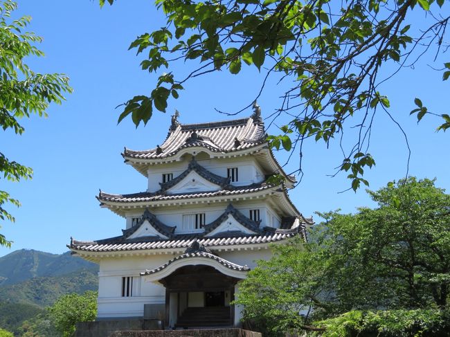 年末年始に帰ってなかったので、帰省してきました☆<br />1泊2日のため、飛行機で。<br />福岡～松山便はいつの間にか全便エンブラエルになってました★<br /><br />短い滞在でしたが、気候もよくて実家でのんびり。<br />お友達とも会えて楽しかった♪<br /><br />実家に居た頃は普通すぎて何とも思ってなかったこと、風景、食べ物・・・今となってはとても貴重でいいものなんだとしみじみ感じたタビとなりました♪<br /><br />【旅程】<br />5/27　福岡7：20発JL3591便→松山8：05着<br />　　　特急で宇和島駅へ<br />　　　老舗菊屋でランチ♪<br />　　　宇和島城へ<br />5/28　幼なじみに会って<br />　　　特急で宇和島駅→松山駅へ<br />　　　みゅんへんで名物の唐揚げ＆ビールでほろ酔い♪<br />　　　松山20：10発JL3608便→福岡21：00着<br /><br /><br />【タビのメモ】<br />①航空券：往路12,500円(先得A）<br />　　　　　復路0円（マイル利用：5000マイル）<br />②マイル：141マイル