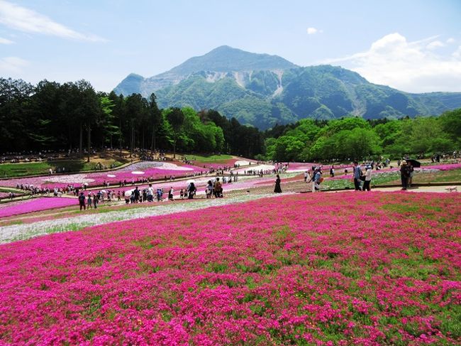 熊谷で宿泊して、秩父札所めぐり3回目（15、22、23、30番）と羊山公園の芝桜を見に行きました。