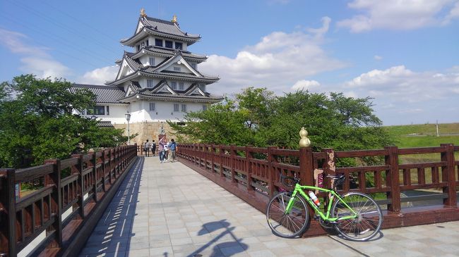藤を観たり迷子になったり墨俣一夜城に登ったり長良川自転車道をちょっと走ってみたりしてきました。