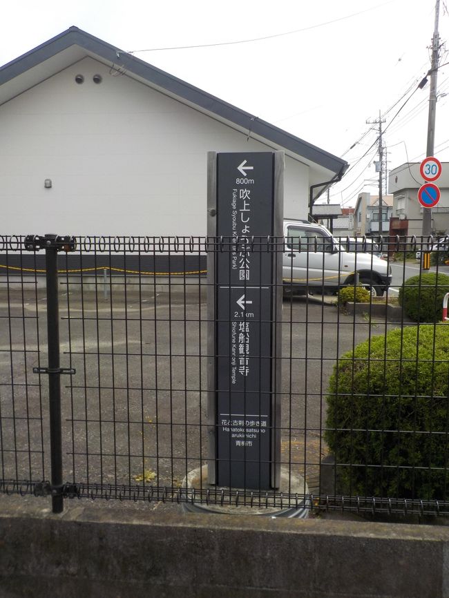 青梅市塩船観音つつじまつりが開催されているので、天気予報を見ると晴れるとあります。散歩がてら、東青梅駅から塩船観音、川辺駅の2時間の、花と古寺のコ－スがあったので歩きました。各民家の庭先や、畑に，色々な花が咲きお寺も１０分毎で、散歩２０人欲で静かでした。しょうぶ園は、５月下旬が見頃です。