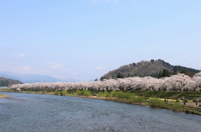 今年のGW旅は、昨年のリベンジで角館の桜から始まります。<br />開花日が気になりましたが、丁度満開となり春爛漫を満喫しました。<br />